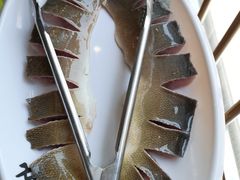 雅鱼-鲜椒鱼·雅安地标性美食