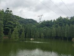 -广州市帽峰山景区