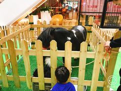 -兰岛广场(白沙路店)