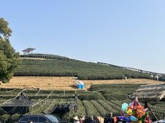 -听风阁农家私房菜茶楼(龙坞店)