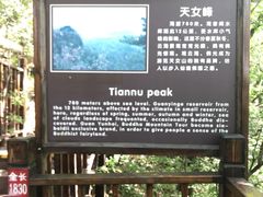 -天女山森林公园