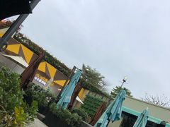 -gaga(深圳南山益田假日广场店)