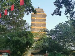 -鹅岭公园瞰胜楼