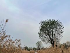 -汉长安城未央宫国家考古遗址公园