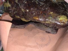 -洋洋安徽牛肉板面(洋洋店)