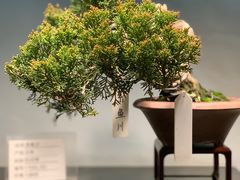 -双季花艺园艺市场(浦东店)