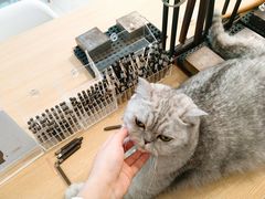 -Oasis绿洲银饰珍珠手作diy(壹方城店)