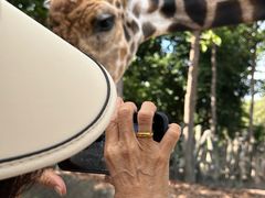 -清迈夜间动物园