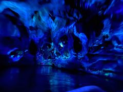 -奥兰多迪士尼动物王国乐园