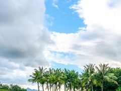 -深圳湾公园(南山区)