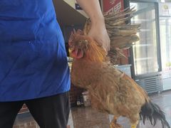 -北京龙庆四季香农家饭庄·灶台鱼·碳烤虹鳟鱼(龙庆峡店)