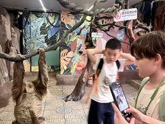 -正佳雨林生态植物园