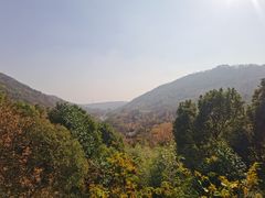 -南京老山国家森林公园