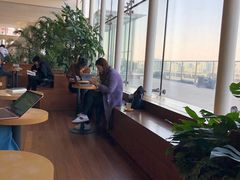 -Seesaw Coffee(朝阳大悦城店)