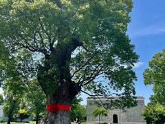 -养云安缦吧THE BAR