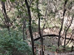 -大岭沟猕猴桃谷风景区