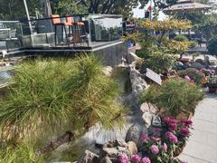 -蘇河湾·新鲁菜·泰山宴(泰山店)