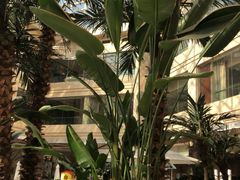 -青岛城阳宝龙福朋喜来登酒店