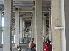 -南湖大桥