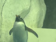 -泉城欧乐堡海洋极地世界