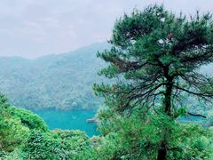 -鼎湖山风景区