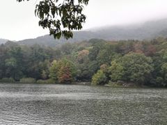 景点-紫霞湖公园