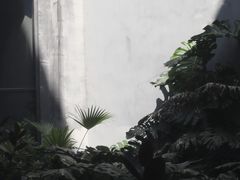 -大芬美术馆