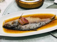 酒糟鲥鱼-走马楼饭庄(慈城古县城店)