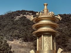 -金岛生态园烧烤露营地