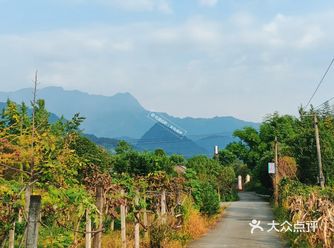 出伏日江行偶作 伏外拟江舟，怱惊叶落眸