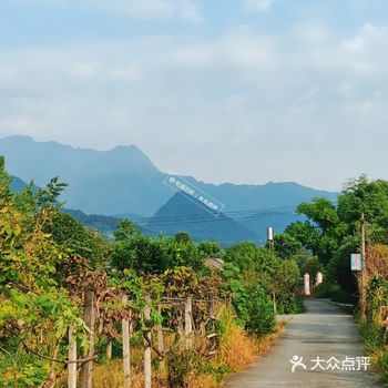 出伏日江行偶作 伏外拟江舟，怱惊叶落眸