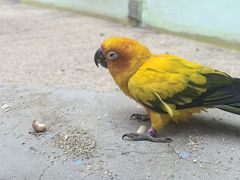 -北京野生动物园