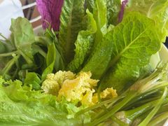 -菌自由丨野生菌火锅特色庭院餐厅(丽江古城店)