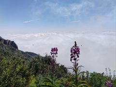 -白草畔自然风景区