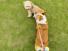 -萌宠主义宠物生活馆(金山路店)