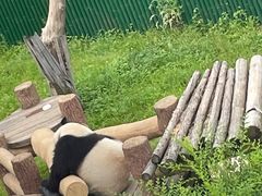 -沈阳森林动物园