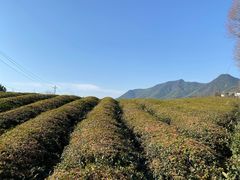 -莫干山风景区