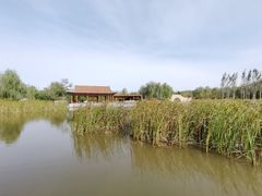-张家湾公园