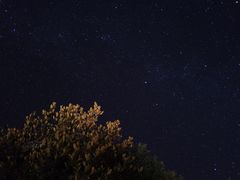 -云朵石锅鱼·野生菌餐厅(蒗放店)