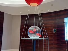 -君来湖滨饭店·渔餐厅