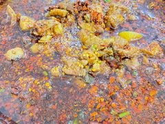 -温江公平红烧兔(总店)