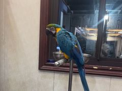 -观桥阁(锦溪店)