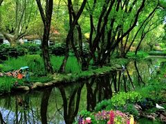 -上海共青森林公园