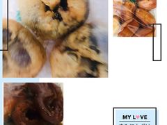 -壹条龙饭庄台基厂店