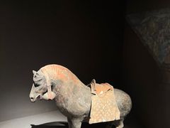 -大同市博物馆