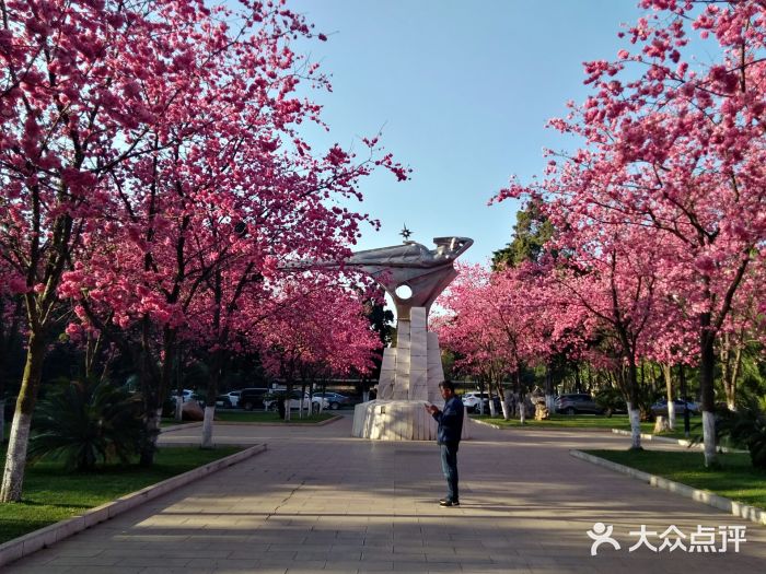 昆明理工大學(蓮華校區)圖片