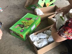 -马陆小张葡萄园农家乐