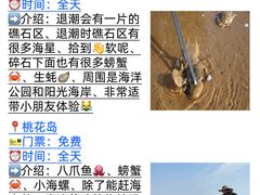 -巧克力渔家.小船海鲜家常菜(万平口店)