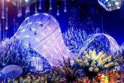 -格乐利雅婚礼艺术中心(南外滩店)