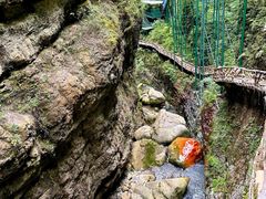 -鹿院坪生态旅游景区